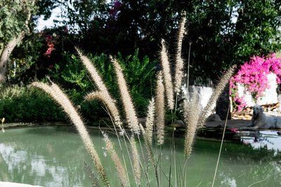 Озерна мембрана Natural Pools, Eco green 7219 зелена, армована 1.5 мм, 1.65мх25м 318157219001 318157219001 фото