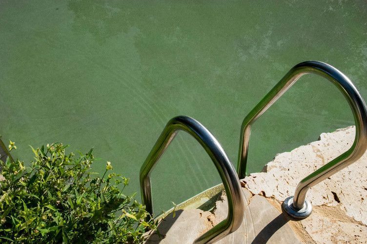 Озерна мембрана Natural Pools, Eco green 7219 зелена, армована 1.5 мм, 1.65мх25м 318157219001 318157219001 фото