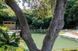 Озерна мембрана Natural Pools, Eco green 7219 зелена, армована 1.5 мм, 1.65мх25м 318157219001 318157219001 фото 5