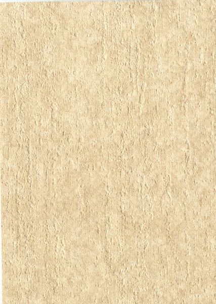 Мембрана StoneFlex піщана Jasper sand, 1.65м армована з лаковим покриттям 327274340003 327274340003 фото